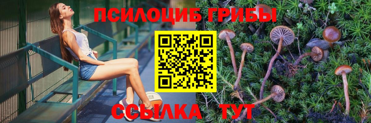 Галлюциногенные грибы Cubensis  Вход с VPN  Вольск 
