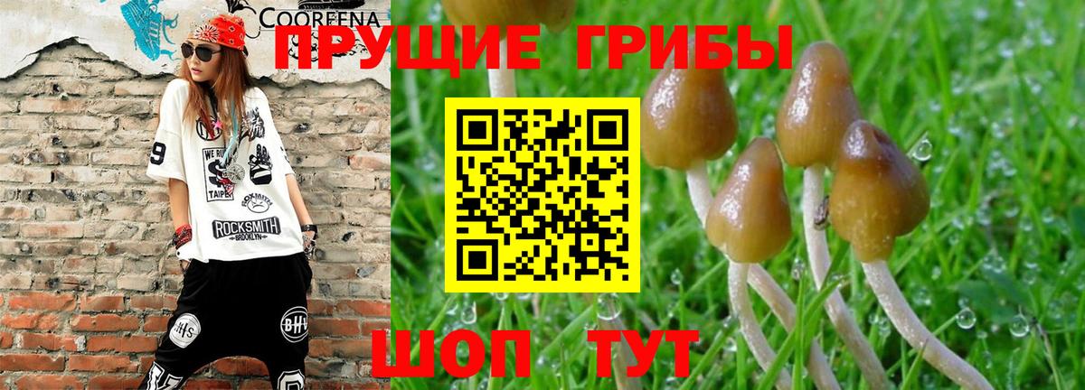 Псилоцибиновые грибы ЛСД Вольск